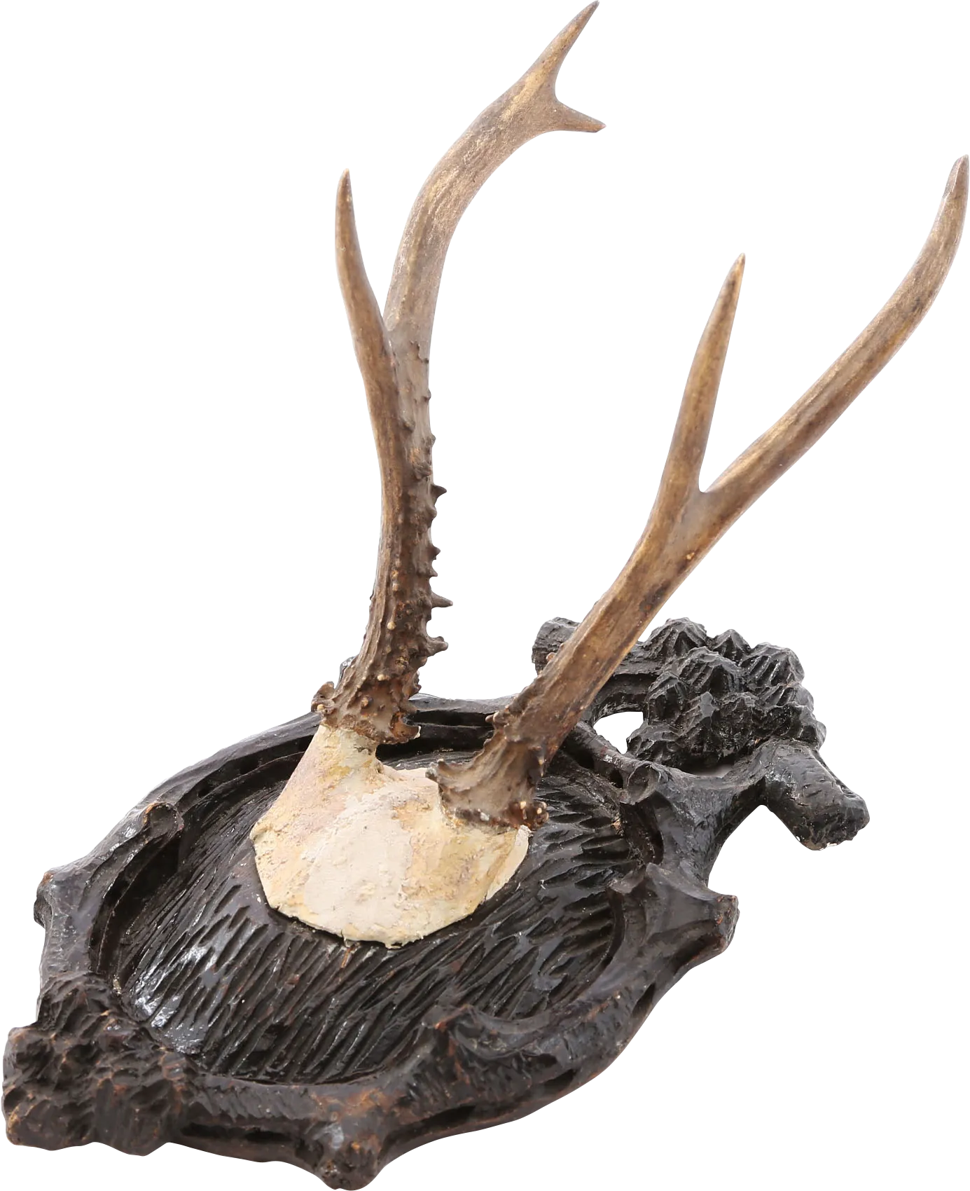 BLACK FORREST ROE DEER MOUNT C.1880’S